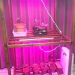 室内温室を作成中